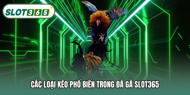 Các loại kèo phổ biến trong đá gà SLOT365