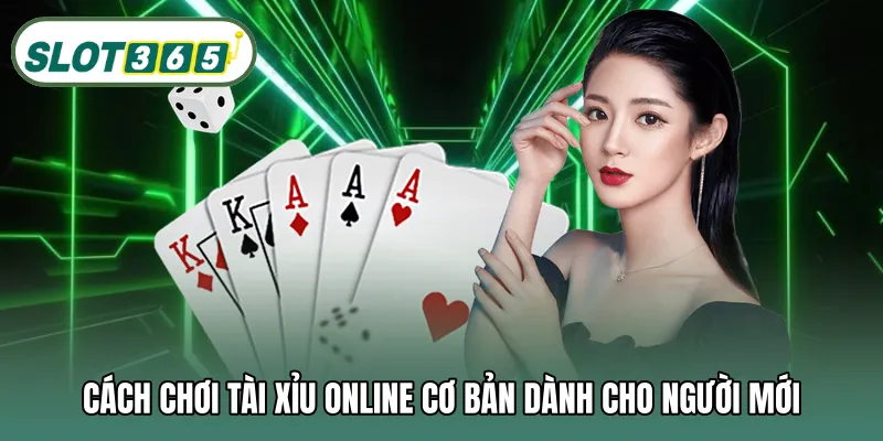 Cách chơi tài xỉu online cơ bản dành cho người mới