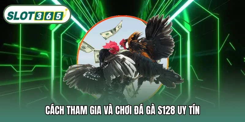 Cách tham gia và chơi đá gà S128 uy tín