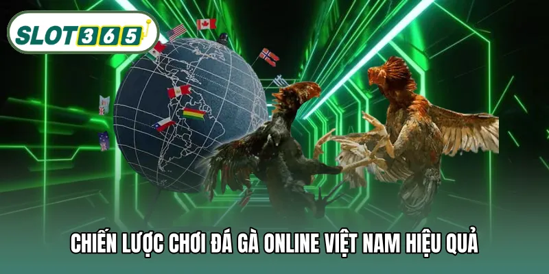 Chiến lược chơi đá gà online Việt Nam hiệu quả
