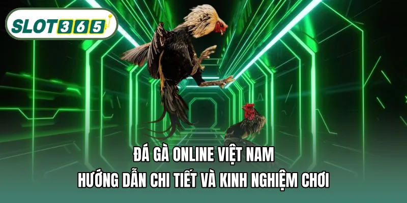 Đá gà online Việt Nam – Hướng dẫn chi tiết và kinh nghiệm chơi