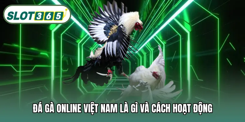 Đá gà online Việt Nam là gì và cách hoạt động