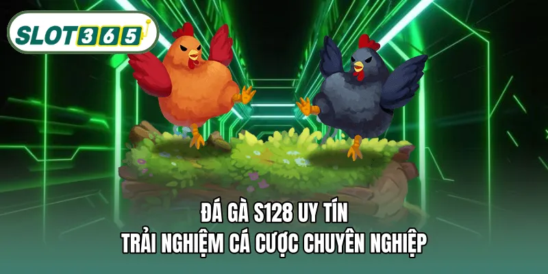Đá gà S128 uy tín – Trải nghiệm cá cược chuyên nghiệp