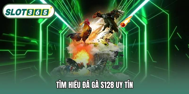 Tìm hiểu đá gà S128 uy tín