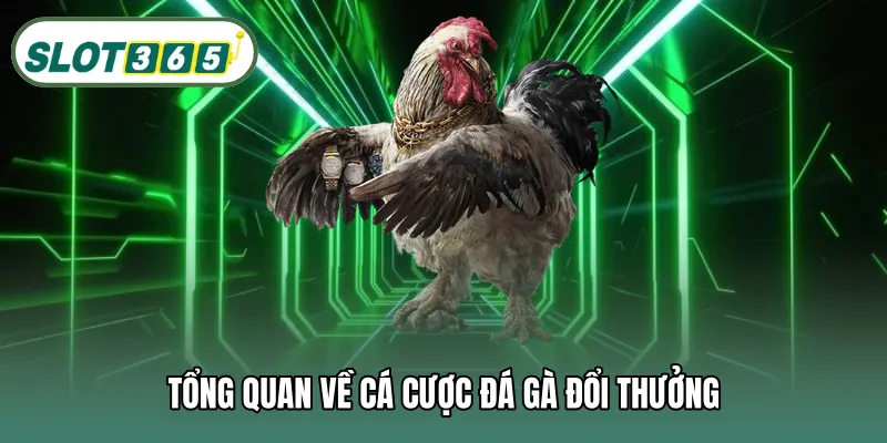 Tổng quan về cá cược đá gà đổi thưởng